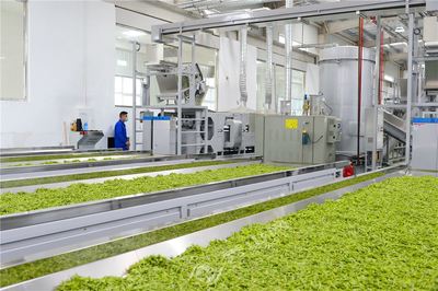 秀山兴隆坳茶叶加工中心正式投产，助力茶产业提质增效