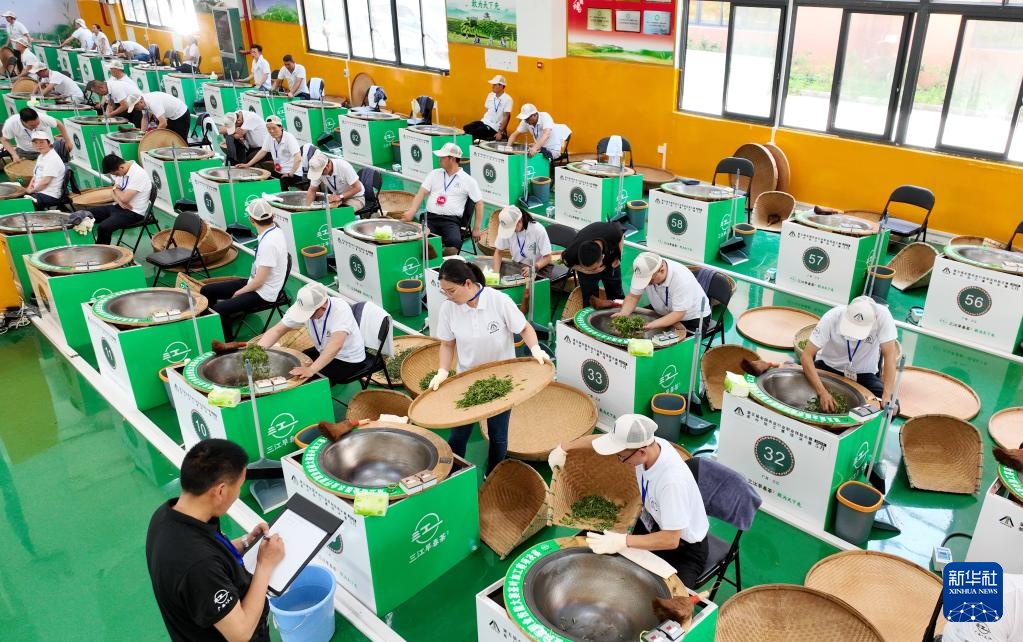 海南选手在第五届全国农业行业职业技能大赛茶叶加工赛项决赛中斩获佳绩